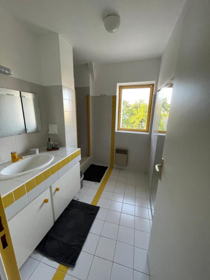 Grand Appartement Hypercentre Avec Terrasse Et Parking 푸아티에 외부 사진