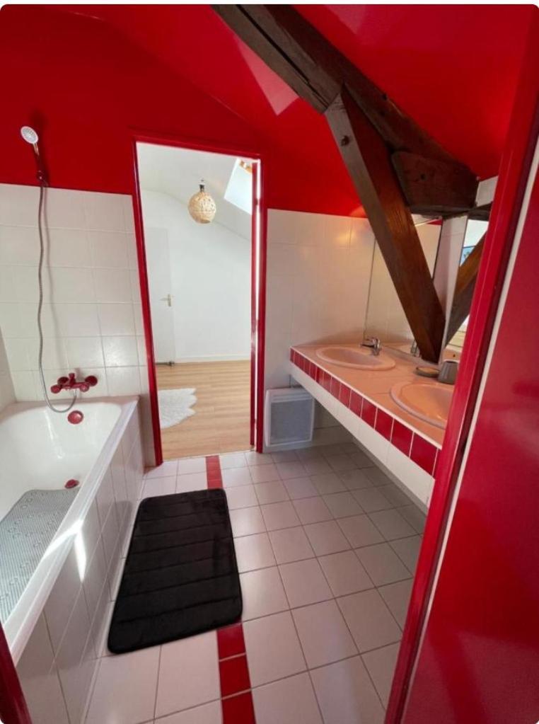 Grand Appartement Hypercentre Avec Terrasse Et Parking 푸아티에 외부 사진